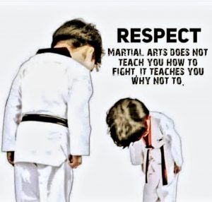 sesma martial arts norwich teaches respect