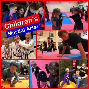 childrens martial arts sesma norwich & newmarketchildrens martial arts sesma norwich & newmarket