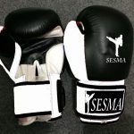 sesma boxing gloves suitable for class and competition