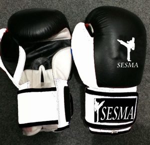 sesma boxing gloves suitable for class and competition