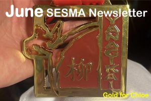 June 2023 sesma newsletter norwich martial arts karate kickboxing kungfu