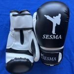 SESMA Martial Arts Kickboxing Gloves