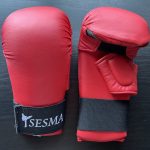 SESMA Martial Arts karate Gloves